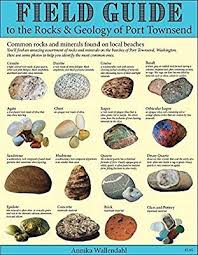 Field Guide To The Rocks And Geology Of Port Townsend Annika Wallendahl 9780981715704 Am Rock Identification Rock Identification Pictures Rocks And Minerals