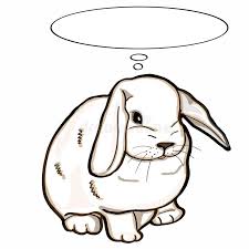 Coloriage lapina en plein desert du. Dessin Realiste De Lapin Illustration De Vecteur Illustration Du Objet 100642217