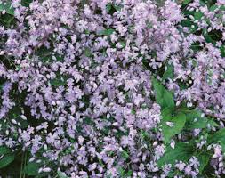 We did not find results for: Our Range