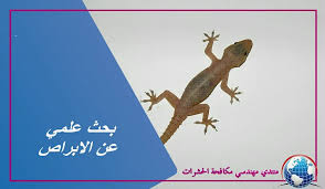 أما رؤية الفتاة العزباء لوزغ أو البرص في المنام تدل على أنه يوجد شخص ما يسبب لها الكثير من الإزعاج في حياتها الواقعية، وعليها أن تتخلص من تلك العلاقة في اقرب وقت. Ø¨Ø­Ø« Ø¹Ù„Ù…Ù‰ Ø¹Ù† Ø§Ù„Ø¥Ø¨Ø±Ø§Øµ