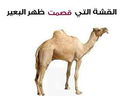 Pin On Quotes إقتباسات