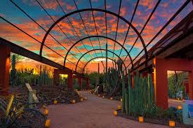 Outdoor Living Ideas The Home Depot Arizona Travel Arizona Adventure Desert Botanical Garden