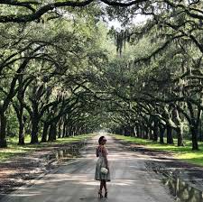 Wormsloe's tabby ruin is the oldest standing structure in savannah. Wormsloe Historic Site Galuxsee