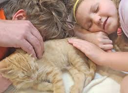 Little Traverse Bay Humane Society Magazine Little Traverse Bay Humane  Society Magazine Fall 2023