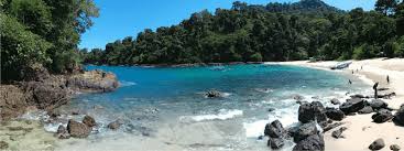 Pantai teluk biru teluk biru banyuwangi masih dalam kawasan taman nasional alas purwo, terletak di balik semenanjung. Tour Teluk Hijau Banyuwangi 2 Hari Paket Wisata Murah