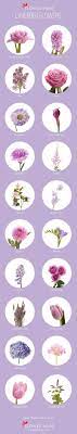 Flower Garden Zone 6 Flowergarden Flower Bouquet Wedding Types Of Flowers White Wedding Flowers