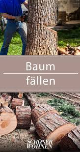 Baum Fallen Wann Es Erlaubt Ist Wie Es Geht Vieles Mehr Baum Fallen Baum Palmen Garten