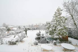 Find similar songs (100) that will sound good when mixed with il neige dans mon jardin (instrumental) by henri dès. Il Neige Dans Mon Jardin Alain Molesti