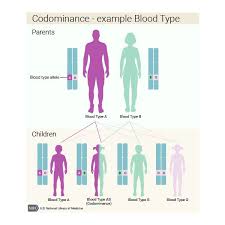 Pin On Genetic Material
