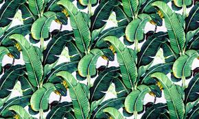 Pin By Jess Ofcourse On See De Zintuigen Banana Leaf Wallpaper Banana Leaf Pattern Leaf Wallpaper
