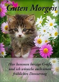 Guten morgen heute ist donnerstag und wenn nichts dazwischen kommt. Pin Von S B Auf Guten Morgen Spruche Donnerstagsgrusse Donnerstag Spruche Guten Morgen Gruss