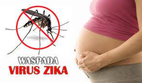 Gejala virus zika virus zika ini memiliki gejala lain seperti sakit kepala, nyeri di belakang mata, dan lelah. Infeksi Emerging Kementerian Kesehatan Ri