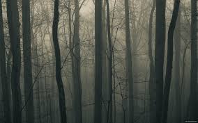 Perfect for musicals, recitals & events. Creepy Forest Wallpaper 1920x1200 Download Hd Wallpaper Wallpapertip