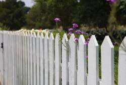 We did not find results for: 5 Best Uk Fence Paints Reviews Comparison