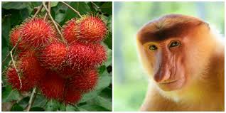 Sekarang pemberian hadiah dari fans untuk idola ini ada berbagai macam cara, mulai dari pemberian barang mewah sampai donasi. Yuk Intip Hadiah Unik Apa Sih Yang Dikasih Oleh Penggemar Buat Selebriti Idola Mereka