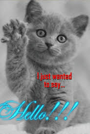 Sending You An Adorable Hello With This Cute Kitty Kitty Cute Good Morning Quotes Good Morning Funny Hello Quotes