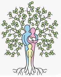 Check spelling or type a new query. Ideas Creativas Para Arbol Genealogico Ideas Creativas