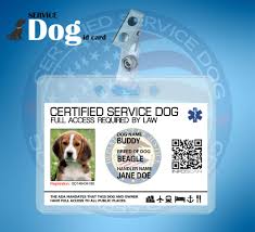 Customizable Title Assistance Service Dog Id Card For Service Animal Ada Tag Service Dogs Dog Id Service Animal