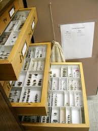 As a level 2 in pest management, and working towards my level 3 i am more than happy to help with any issues you may have. Agricultural Pest Survey West Virginia Department Of Agriculture