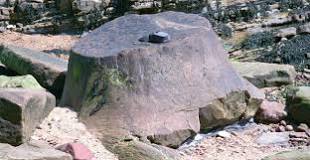 What type of rock are fossils found in?