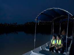 Kelip kelip kg kuantan, kuala selangor. Kuala Selangor Fireflies Nature S Enchanting Light Show