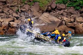 Troop 358 Zionsville