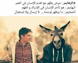 pin by jasmin on funny comedy monwa3at funny people quotes funny picture jokes funny school memes