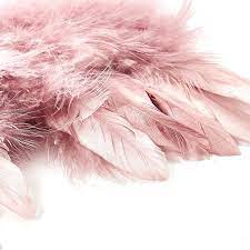 She is often referred to as white 2, while nate is often referred to as black 2. Wunderschone Engelsflugel In Weiss 1 95