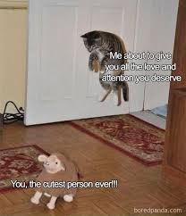 50 Wholesome Relationship Memes You Need To Send To Your Significant Other Bored Panda Bad relationship memes that say what we're all thinking. 50 wholesome relationship memes you