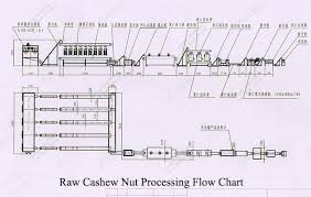 400 Kg Raw Cashew Nut Processing Machine Supplier In China