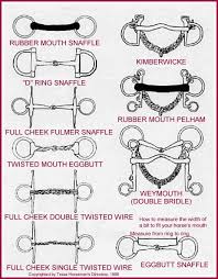 160 best equine tacking up images horse tack horse care