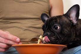 Se la pasta di per sé fa bene all'organismo per i principi che contiene, non si può dire altrettanto per i sughi scelti per condirla. I Cani Possono Mangiare La Pasta