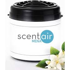 You can buy golden goddess bamboo at palmco in florida. Buy Scent Air Golden Bamboo Fragrance Cartridge Oil For Scentwave Ifra Regulated Safe Scent For Home And Business Online In Uae Sharaf Dg