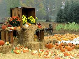 Pretty, autumn, wonderful, stunning, wheat, beautiful, straw, clouds, nice, gold, fields, corn, amazing, harvest, wheat field, horizon, fantastic. Fall Harvest Wallpaper