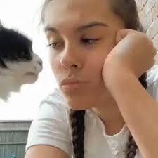 @SandraMockler's video Tweet