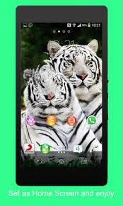 The neon animal live wallpaper shows you a horrible roar tiger, . Animal 3d Live Wallpaper Apkonline