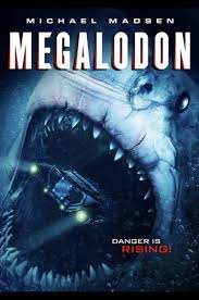Pin On Megalodon