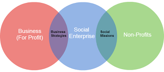 Exploring the social enterprise business model: Is Social Enterprise The Future Of Business Susticity