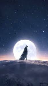 Moon Wolf Howl Iphone Wallpaper Iphone Wallpapers Iphone Wallpaper Wolf Wolf Wallpaper Wolf Howling