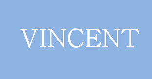 9 Choses A Savoir Absolument Sur Les Vincent Fourchette Bikini