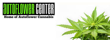 Maybe you would like to learn more about one of these? Autoflower Center Led Grow Light Home Facebook