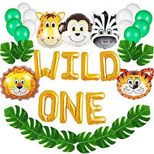 A birthday party at the zoo or wilderness to experience them would be perfect. Wild One Birthday Decorations Kit16 Inch Wild One Balloons With 12 Pcs Artificial Palm Leavesbaby Girl Boy 1st Bday Party Supplies With Animal Balloonssafari Zoo Jungle Themed 1st Bday Decorations Walmart Canada