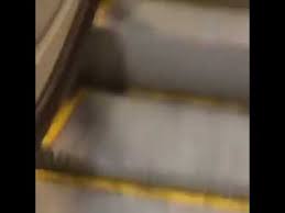 The best memes from instagram, facebook, vine, and twitter about escalator. Cockroach Tries To Go Up The Escalator Meme Youtube