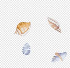 5 out of 5 stars. Seashell Watercolor Png Images Pngegg