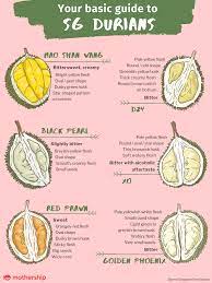 Also known as the musang king, the mao shan wang is one of the most popular durians in singapore. Mao Shan Wang Durians Selling At S 10 Each In Tiong Bahru Geylang Mothership Sg News From Singapore Asia And Around The World