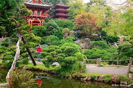 What You Can Expect To See At San Francisco S Japanese Tea Garden