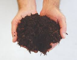 We did not find results for: Pine Bark Fines Sahib Aquaponics An Urban Sustainable Food Garden In Winter Park Florida