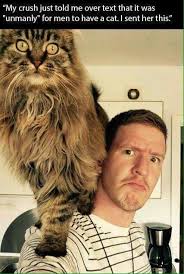 Pin On It S A Funny World