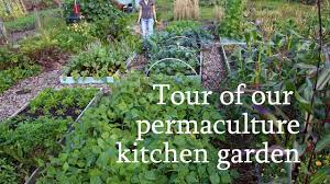 Explore the present vegetation, and determine its qualities and uses. Tour Of Our Permaculture Kitchen Garden Youtube