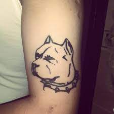 pittbull love pitbull tattoo